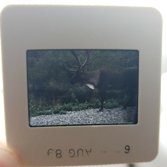 2 Genuine Vintage‎ Kodak Carousel Transvue 80 Slide Trays In Box w/ Slide sheets - Picture 12 of 12